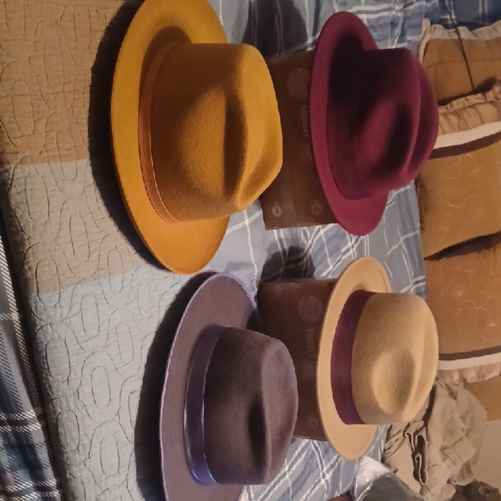 Stylish Men's Fedora Hat Collection